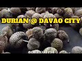 DURIAN at MAGSAYSAY PARK DAVAO CITY🇵🇭 #ilovedavao#short #2023@swertekabayanadventuresinbahra