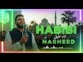 🕌 WORLDWIDE VIRAL NASHEED! Maher Zain – Habibi ﷺ | 100M Muslims Love This Beautiful Islamic Song