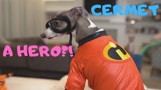 Cermet Is a HERO! // Jenna Marbles and Julien Solomita Footage