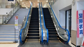 たまや鎌倉手広店 エスカレーター 上り【フジテック】Escalator,Tamaya kamakuratebiro store(FUJITEC)