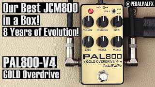 PAL800-V4 GOLD Overdrive - All the best of our JCM800 in a box!