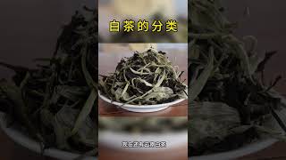 白茶有哪些分类#茶知识 #召唤茶友 #今天你喝茶了吗 #白茶 #白牡丹#Tea # Knowledge # shorts