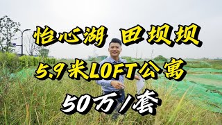 成都南边-炸眼的怡心湖再放大招！5.9米层高LOFT公寓，即将问市！50个就能带回家，听说还要排号！