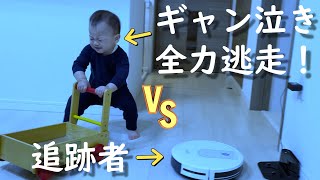 【あれから7ヶ月😂再戦！逆襲のユーフィー！】赤ちゃん1歳10ヶ月 Japanese baby