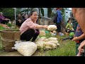 journey of 9 months u0026 10 days of pregnancy with a baby build wooden houses cooking farm garden