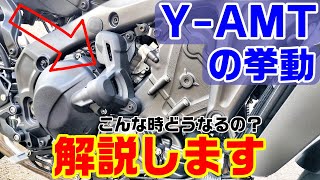 【Y-AMTの疑問】オーナーが分かる範囲でお答えします！