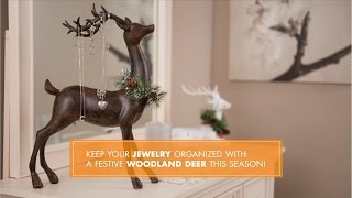 Big Lots Quick Tip: Jewelry Holder