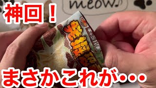 ついに出たか！？赤トレー！キャラパキ！発掘恐竜チョコ！1BOX開封！！part6