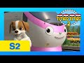 TITIPO S2 EP4 l Mr.Herb has Puppy Love l Train Cartoons For Kids | TITIPO TITIPO 2