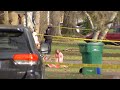 eleven year old girl among three dead in brighton new york incident police say