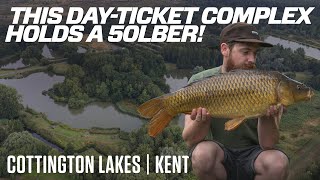 Cottington Lakes | Kent | Carp Fishery Review | Swimbooker App