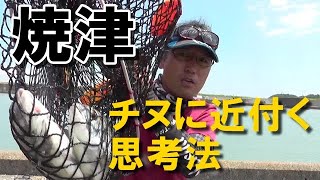 王道の紀州釣りが出来る焼津で半日楽しみました【クロダイ（チヌ）釣り】