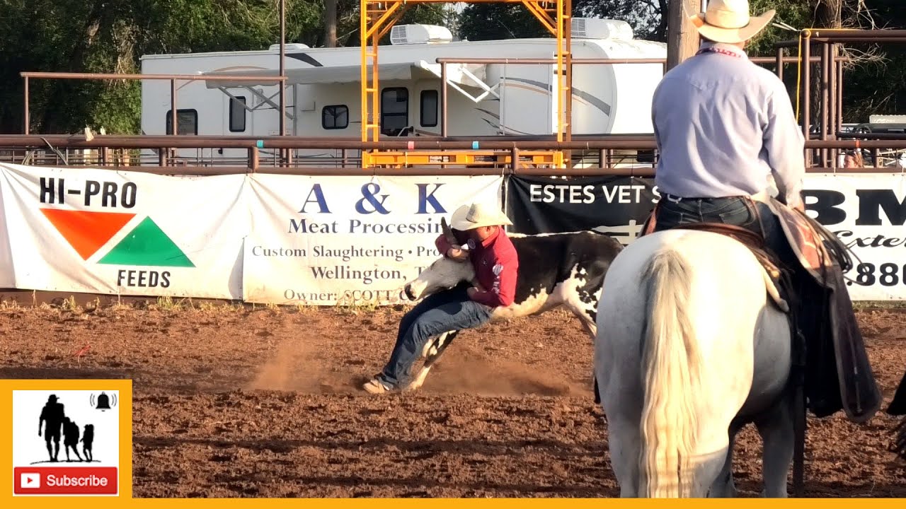 Steer Wrestling - 2023 Wellington Pro Rodeo | Thursday - YouTube