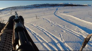 Norwegian K98KF1 Mauser