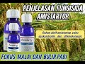 penjelasan fungisida amistartop