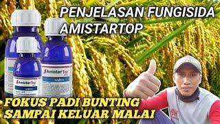 PENJELASAN FUNGISIDA AMISTARTOP