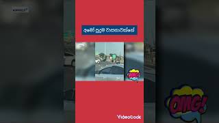 ඩයපරයත් සමඟ පාර මැදට විසිඋනු දරු පැටවුන්