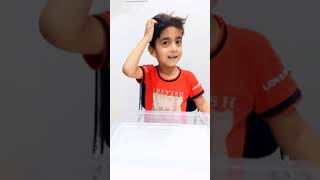 Capillary Magic Flower Blooming Science Experiment Easy