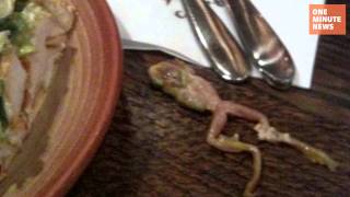 Man Finds Live Frog Inside His Chicken Wrap at Nando's in UK