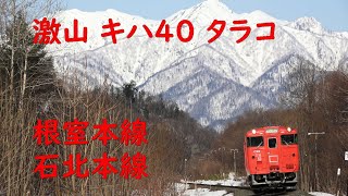 キハ40 根室本線 石北本線 2023.3