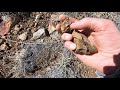 gold mining basics gold veins prospecting for gold ore and motherlode gold dowsing rods