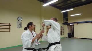 Aikido Yoshinkan Brisbane Dojo quick techniques against jab and straights by Mori Shihan 8th Dan 森師範