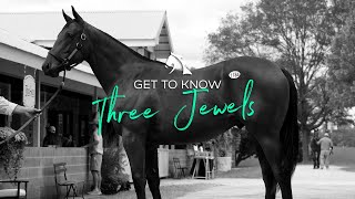 Introducing: Three Jewels, part of the Chad Brown Bundle