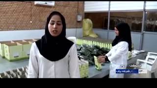 Iran Vegetables processing \u0026 drying, Andimeshk county فرآوري و خشك كردن سبزيجات شهرستان انديمشك