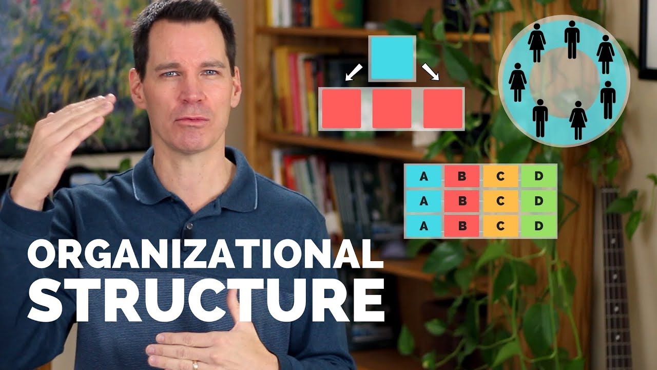 Organizational Structure Youtube