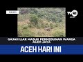 Gajah Liar Masuk Perkebunan Warga Aceh Jaya | Berita Aceh Hari Ini