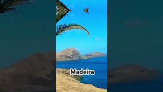 Madera #madera #Madeira #portugalia #travel #adventure #travelblogger #adventuretravel #trip