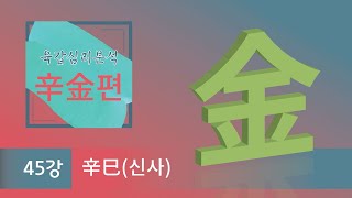 육갑심리분석 辛金편 - 45강 辛巳(신사)