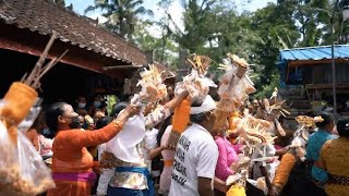 MEPALU JERIMPEN: SHOWING GRATITUDE TO BETARI SRI