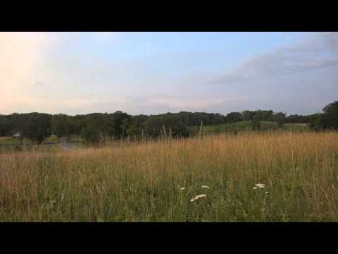 EVP's captured on video camera at Gettysburg Battlefield July 1st 2014 EVP's captured on video camera at Gettysburg Battlefield July 1st 2014