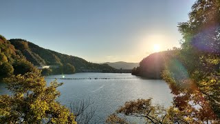 217.秋の【一庫ダム 夕焼けの知明湖】川西市 一庫公園の後に寄るのが定番✨ 迫力のダム湖と美しい夕焼けのセットが見れます😊 ワンちゃんのお散歩にピッタリ🌈