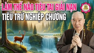 Làm thế nào để tiêu tai giải nạn, tiêu trừ nghiệp chướng? Pháp sư Tịnh Không thuyết pháp