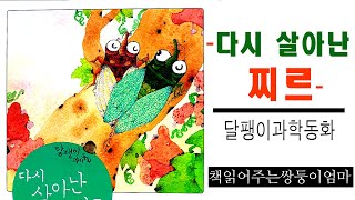 {책읽어주는쌍둥이엄마} 곤충은 어떻게 자손을 남길까? | 다시살아난 찌르