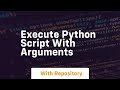 execute python script with arguments