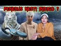 Inilah ramalan siapa penerus Nesti indigo apakah roy kiyoshi ?