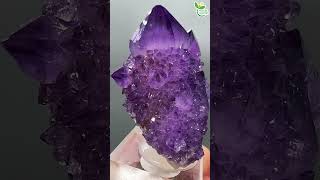 精霊が宿る石☆カクタスアメジスト Cacutus Amethyst【Mineral Stone】 #Shorts