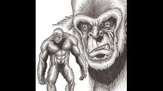 Gibbon Inspired Bigfoot - A Dredfunn Original Time Lapse Drawing