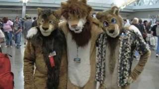Howard Stern: Wolfie interviews guy at Anthro-Con 2011