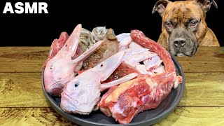 【大食い犬ASMR】デカ盛り生肉を今日も豪快に食べまくる愛犬www  MUKBANG Dog eats raw meat bones