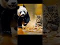 cute panda and cat #shortviral #shortvideo #shorts #short