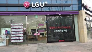 [트라이비전 롤로시스템] LG U+ 매장