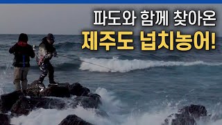 시작과 끝을 제주 넙치농어와 함께한 '루어 테크니션'의 마지막 이야기! [루어 테크니션/24회]