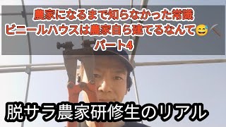 農家になるまで知らなかった常識　ビニールハウスは農家自ら建てるなんて😅⛏️　脱サラ農家研修生のリアル