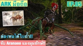 เกมมือถือ ARK มือถือ | จับ Aranaeo แมงมุมยักษ์ ล่องหนได้ในถ้ำ!! EP.85