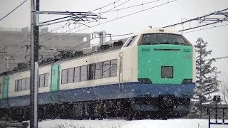 485系新ﾆｲR28編成　信越本線臨時快速新潟行き8621M