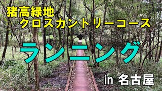 猪高緑地 クロスカントリーコース ランニング